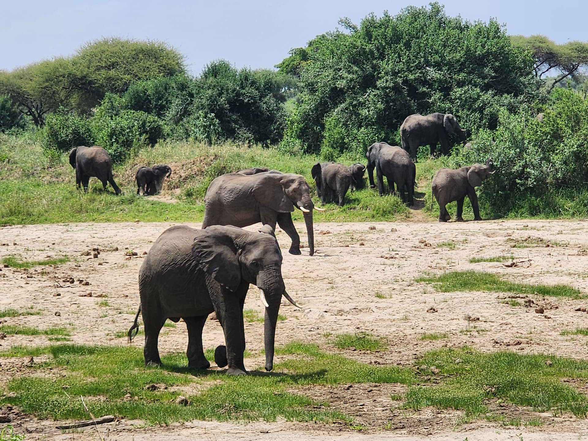 4-Day SERENGETI PARK AND NGORONGORO CRATER