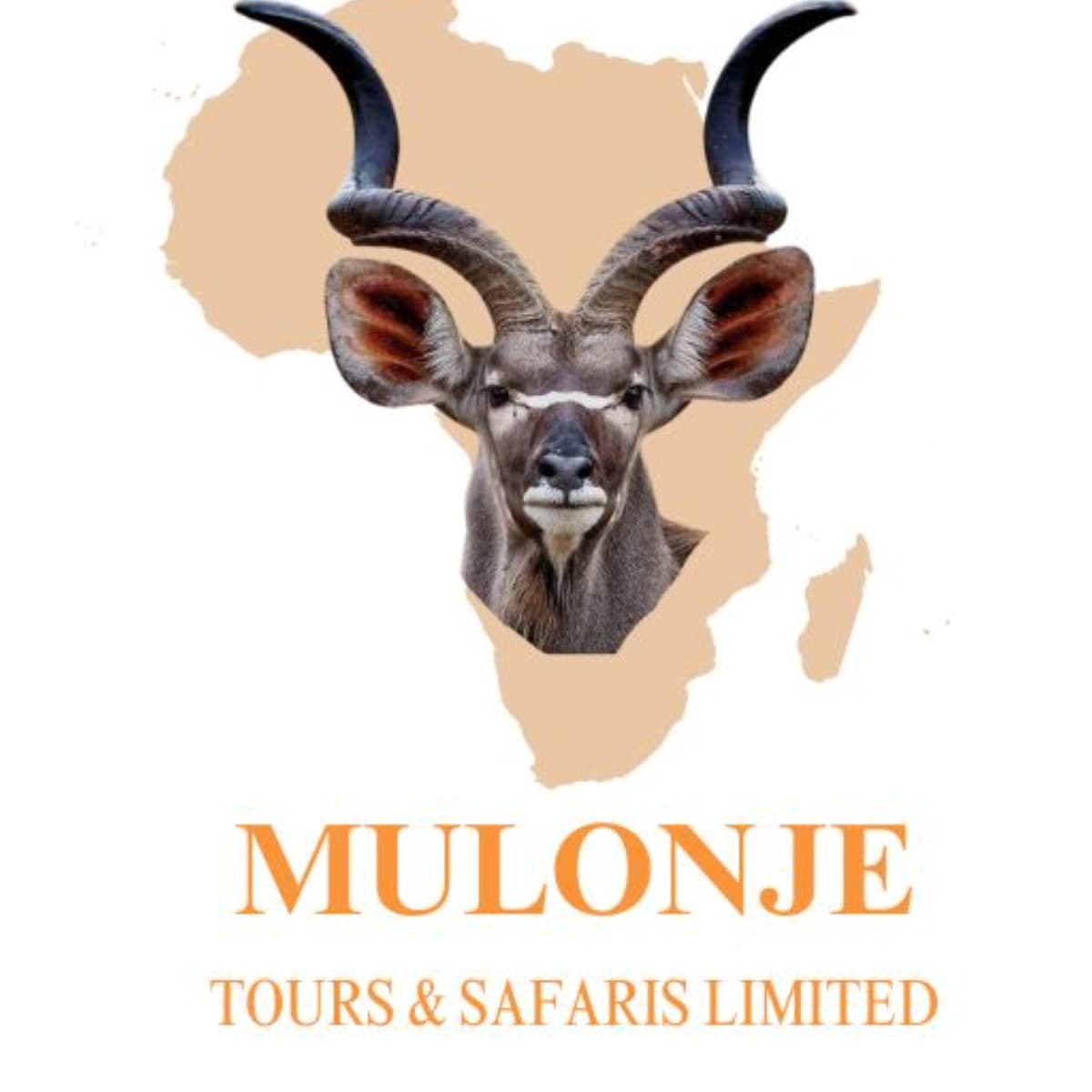 MULONJE TOURS AND SAFARIS LIMITED